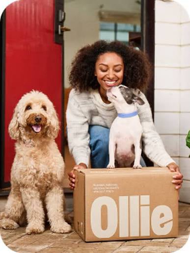 What is Ollie?